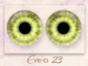 Eye-d 23
